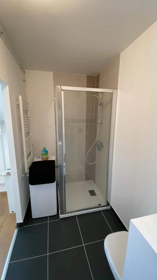 Magnifique Studio Avec Terrasse Et Garage Lejlighed Chens-sur-Leman Eksteriør billede